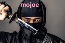 mojoeninja.webp