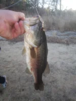 20210413_185045.webp
