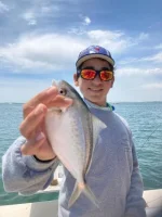 51621butterfish.webp 51621butterfish.webp