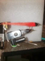 20210524_011901.webp