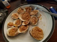 531clams2.webp
