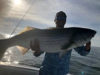 Bass.webp