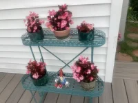 IMG-0045.webp