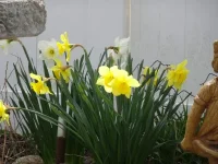 DSC01417 (1).webp