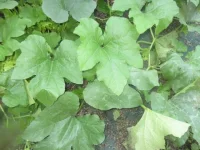 IMG_3232[1].webp
