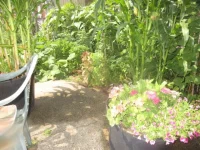 IMG_3234[1].webp