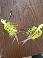 Nantucket deep water with jig heads.webp