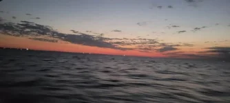 Resized_Resized_20210815_051155.webp