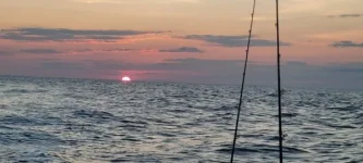 Resized_Resized_20210815_055722.webp