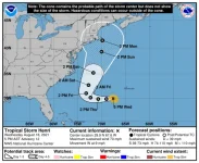 storm_graphics-3.webp