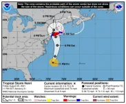 storm_graphics-2.webp