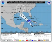 storm_graphics.webp