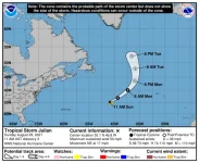 storm_graphics.webp