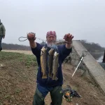 Browns limit 4.09.2019.webp