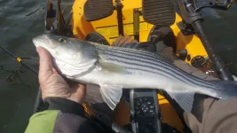 20190413_142333.webp