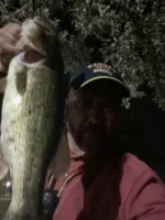 Night Bass.webp