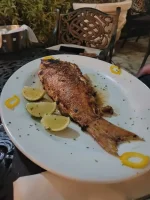 Resized_Resized_20220219_204830.webp