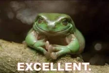 frog excellent.webp