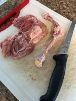 chicken.webp
