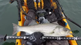 20190504_184255.webp