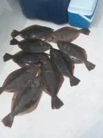 20220621_103732.webp