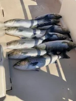 290733276_5201184206632234_8103526348042943998_n.webp