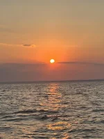 01F99C41-491E-4129-8996-1B4DF3CAE8EB.webp