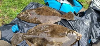 cleaning the first of our catch.webp
