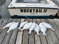 9-17-22 Fluke.webp
