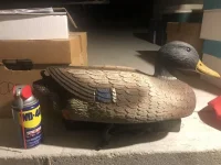 decoy.jpg decoy.jpg