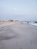 Long Beach a cherished moment.webp
