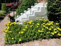 2019-06-09 a.webp