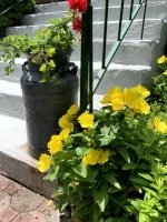2019-06-09 d.webp
