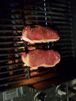 20230329_194754.webp