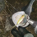 thumbnail_20230327_023830.webp