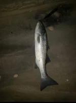 Screenshot_20230717_103236_Facebook.webp
