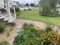 front yard 2023.webp
