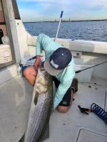 SB 50lb 2.webp