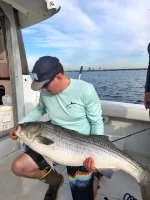 SB 50lb 3.webp