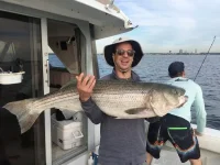 SB 50lb 4.webp