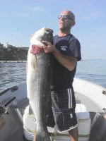 jimmy fish.webp