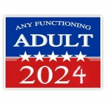 any functioning adult24.webp