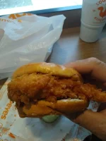 IMG_20231107_103216317.webp