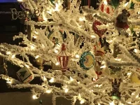 IMG_1242.webp