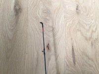 IMG_2946.jpeg