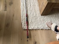 IMG_2944.jpeg