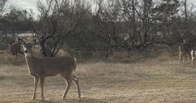 C03A6B2D-461F-45AD-BE18-422F3C113415.jpeg