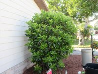 IMG_8941[1].JPG