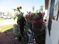 IMG_8943[1].JPG