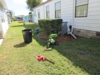 IMG_8954[1].JPG